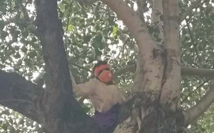 मुख्यमंत्री आवास से करीब 500 मीटर दूर पेड़ पर चढ़कर एक युवक ने की मुख्यमंत्री से मिलने की मांग